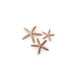 Biorb by Oase biOrb Set de 3 étoiles de mer naturelles 822728010334 48357