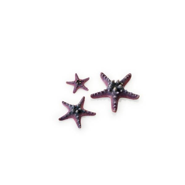 Biorb by Oase biOrb Set de 3 étoiles de mer roses 822728005699 46136