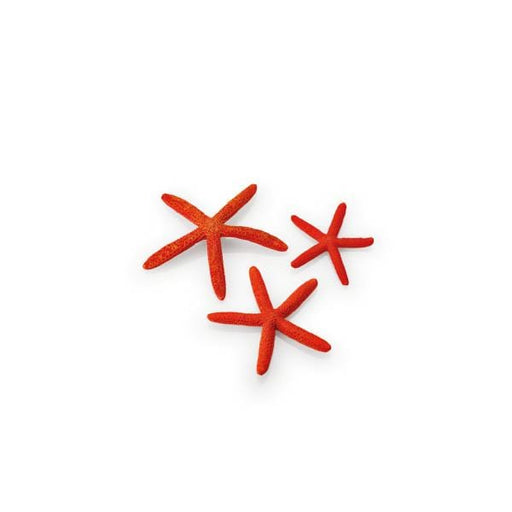 Biorb by Oase biOrb Set de 3 étoiles de mer rouges 822728010327 48356