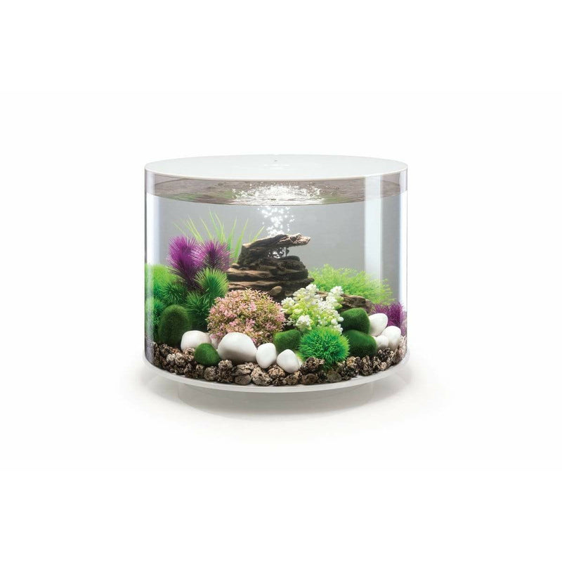 Biorb by Oase biOrb TUBE 35 LED Blanc   - 35 litres 72071
