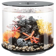 Biorb by Oase biOrb TUBE 35 LED noir  - 35 litres