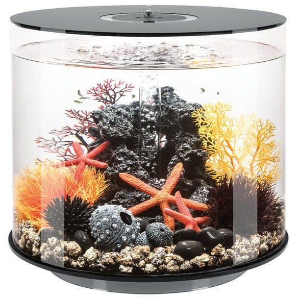 Biorb by Oase biOrb TUBE 35 LED noir  - 35 litres
