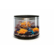 Biorb by Oase biOrb TUBE 35 LED noir  - 35 litres