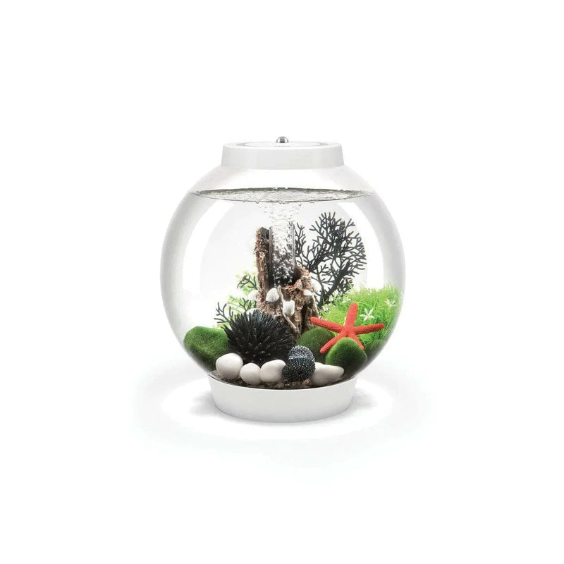 Biorb by Oase Blanc Aquarium biOrb CLASSIC 15 MCR - 15 litres 72004
