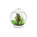 Biorb by Oase Blanc Aquarium biOrb CLASSIC 30 MCR - 30 litres 72010