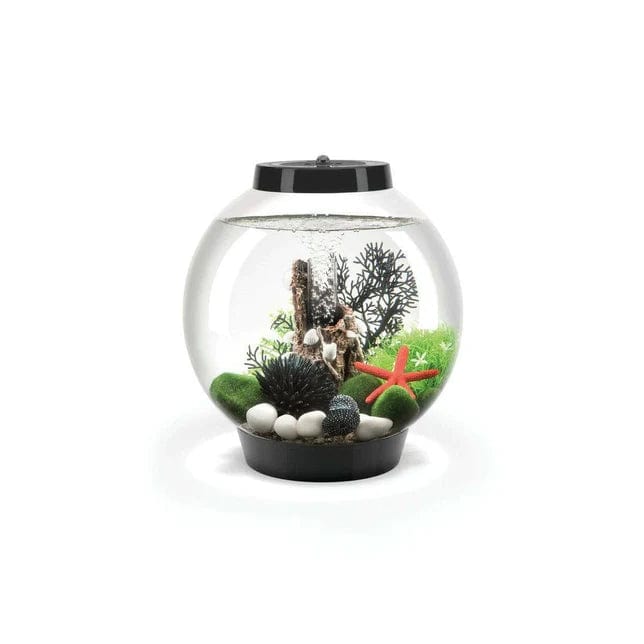 Biorb by Oase Noir Aquarium biOrb CLASSIC 15 - 15 litres 71999