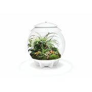 Biorb by Oase Terrarium biOrb AIR 30 Blanc - 30L 71748