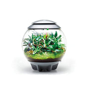 Biorb by Oase Terrarium biOrb AIR 60 Gris - 60L 822728006238 46148