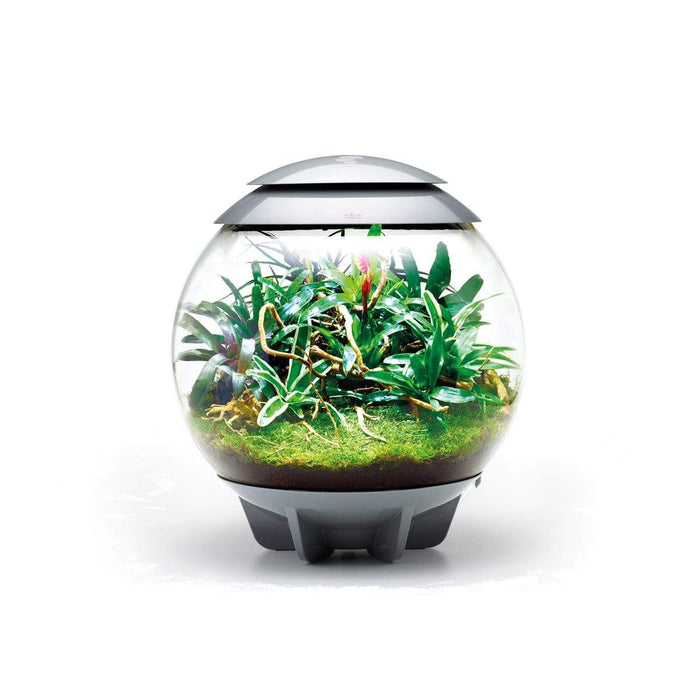 Biorb by Oase Terrarium biOrb AIR 60 Gris - 60L 822728006238 46148