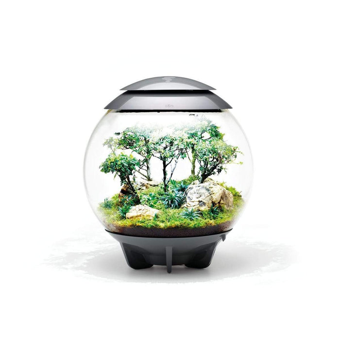 Biorb by Oase Terrarium biOrb AIR 60 Gris - 60L 822728006238 46148