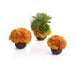 Biorb Accessoires pour aquariums Kit Corail biOrb boules orange 822728735398 73539