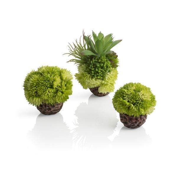 Biorb Accessoires pour aquariums Kit Corail biOrb boules vertes 822728726839 72683