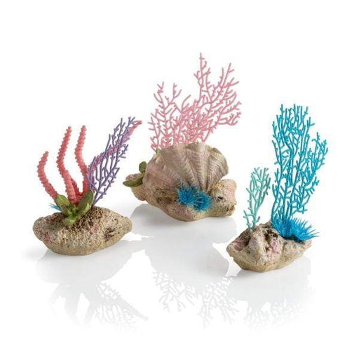 Biorb Accessoires pour aquariums Kit Corail biOrb Gorgone & Coquillage 822728726761 72676