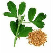 Biota Biota Earth 10kg - 100% Argile Montmorillonite 84404
