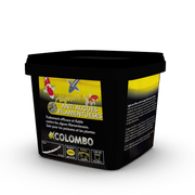 Colombo Produits pour les algues Algisin 1000ml/10.000litres - Enlève rapidement les algues filamenteuses (testeur d'eau inclus) - Colombo 8715897039447 5020510