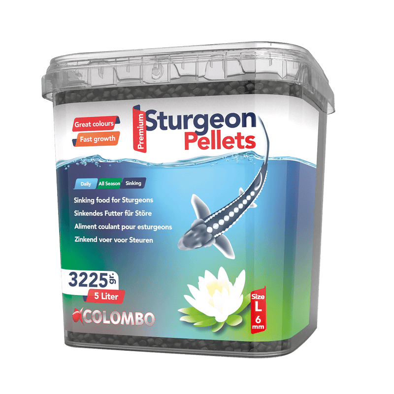 Colombo Nourriture pour poissons Colombo Esturgeon Food 10L - Large 6MM 8715897316623 03050770