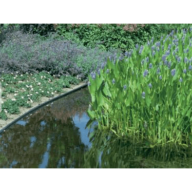 ECOO Bordures de bassin Ecolat droite Gris - 2M x 14CM x  0.7CM - Bordure de bassin ECOO 5400909016228 55057