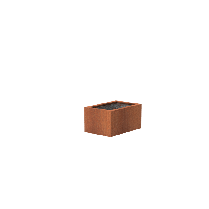 Foudebassin.com Bassins préformés Bassin en acier corten 120 x 800 x 60CM VC11