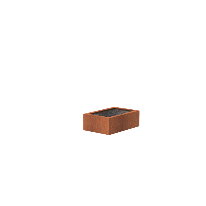 Foudebassin.com Bassins préformés Bassin en corten seul Bassin en acier corten 120 x 800 x 40CM VC11.1