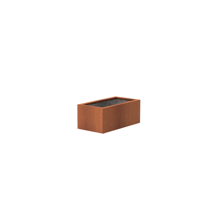 Foudebassin.com Bassins préformés Bassin en corten seul Bassin en acier corten 150 x 800 x 60CM VC10