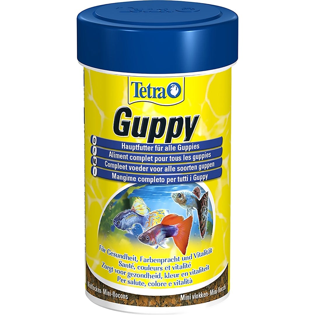 Guppy 100ml / 20g - Nourriture de Base pour guppys et Autres Poissons  vivipares : : Animalerie