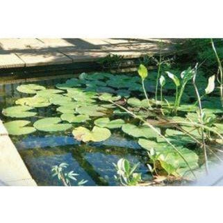 FOUDEBASSIN.COM UBBINK JUPITER - bassin préformé - HDPE, surface 0,94 m², profondeur max 45 cm, volume d'eau 230 l - H45 x 119 x 79 cm 8711465110501 1311050