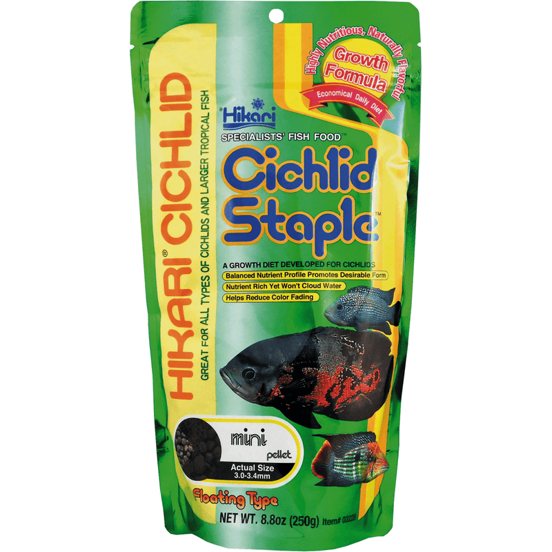 Hikari Nourriture Hikari Chichlid Staple Baby - 57g - Nourriture pour Cichlidés 0042055031110 A3020274