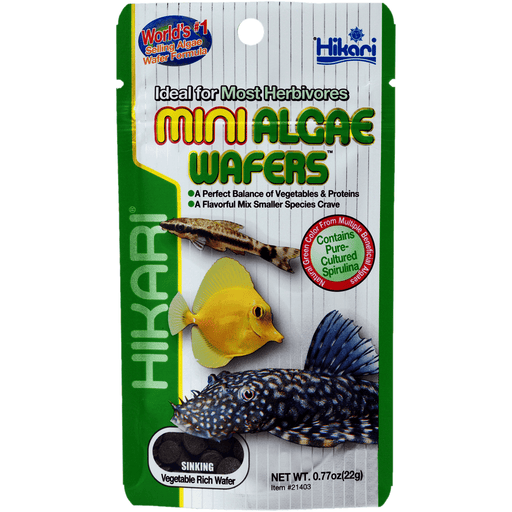 Hikari Nourriture Hikari Mini Algae Wafers - 22g - Nourriture pour poissons tropicaux 0042055214032 A3020410