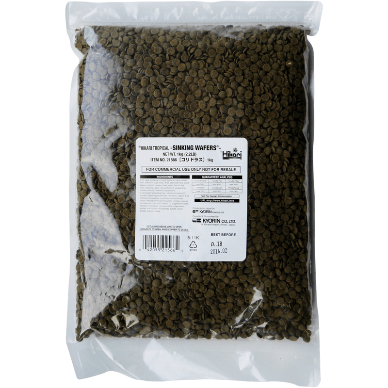 Hikari Nourriture Hikari Sinking Wafers - 1kg - Nourriture pour poissons tropicaux 0042055215664 A3020370