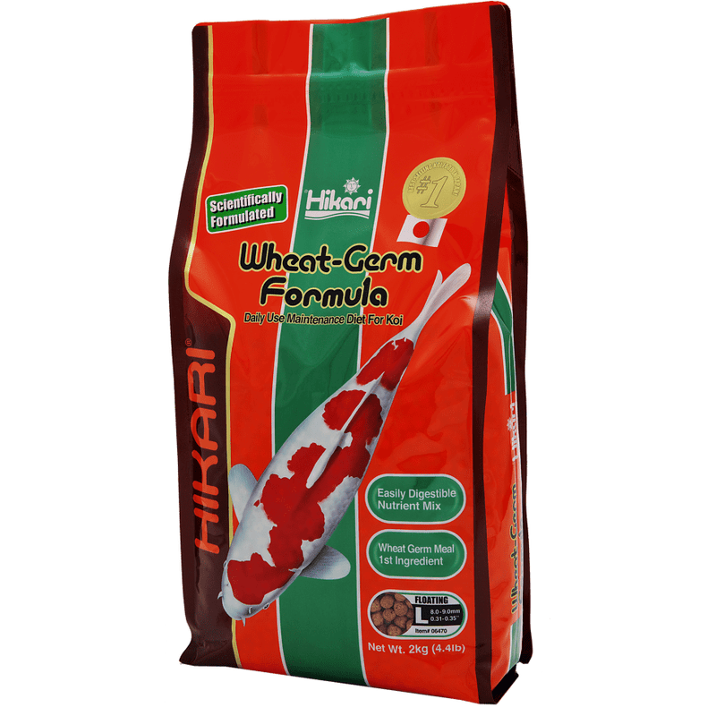 Hikari Nourriture Hikari Wheat-Germ - Large 2kg - Facile à digérer, même en hiver ! 4971618064707 03020210