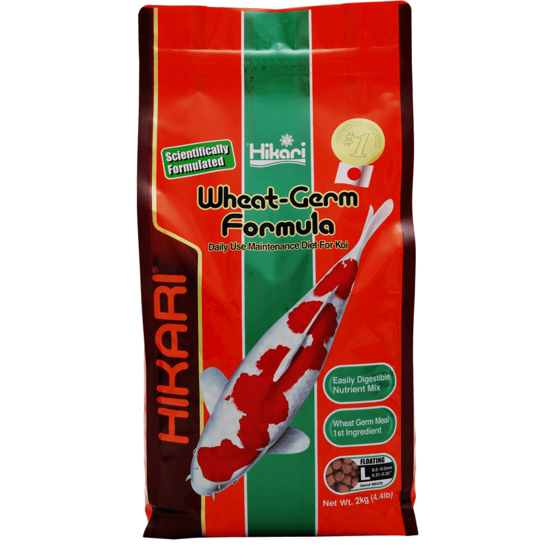 Hikari Nourriture Hikari Wheat-Germ - Large 2kg - Facile à digérer, même en hiver ! 4971618064707 03020210