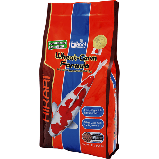 Hikari Nourriture Hikari Wheat-Germ - Medium 2kg - Facile à digérer, même en hiver ! 042055063708 03020190
