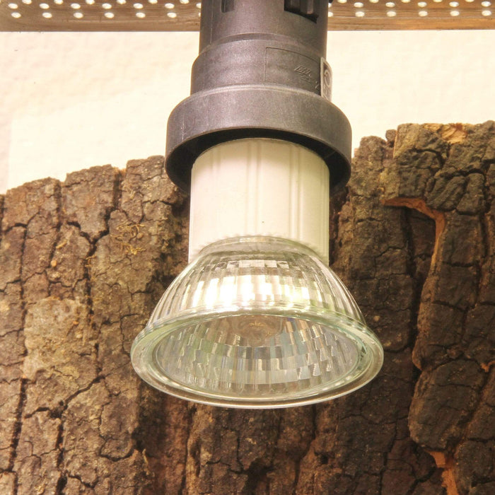 JBL Without Descri JBL ReptilDay Halogen 35W + 4014162618412 6184100