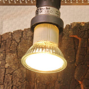 JBL Without Descri JBL ReptilDay Halogen 50W + 4014162618429 6184200