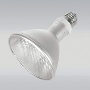 JBL Without Descri JBL ReptilDesert L-U-W Light alu 70W 4014162618924 6189200