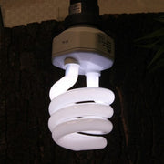 JBL Without Descri JBL ReptilDesert UV Light 15 W + 4014162618511 6185100