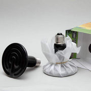 JBL Without Descri JBL ReptilHeat 100W 4014162711748 7117400