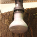 JBL Without Descri JBL ReptilSpot HaloDym 42W + 4014162618672 6186700