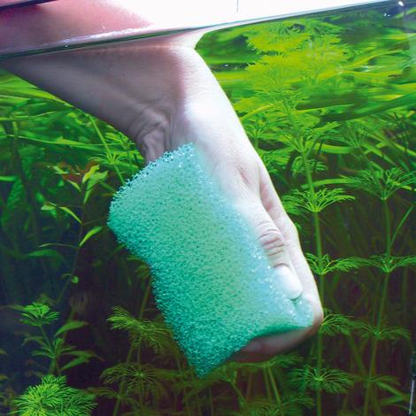 JBL Without Descri JBL Spongi (Eponge d'aquarium) 4014162613806 6138000