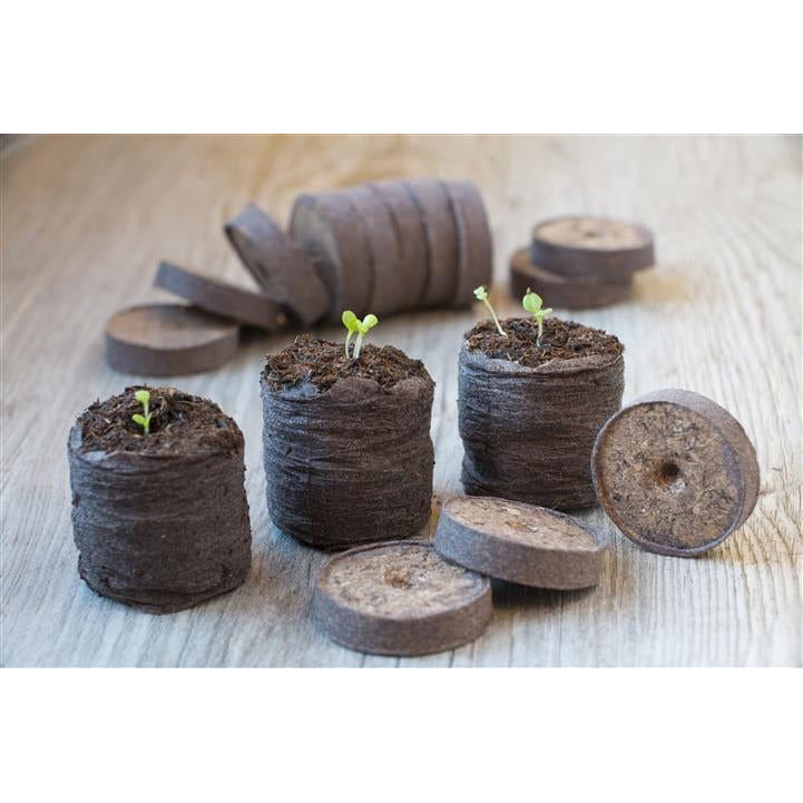 Nature Pastilles de tourbes compressées 8711338201268 6020126