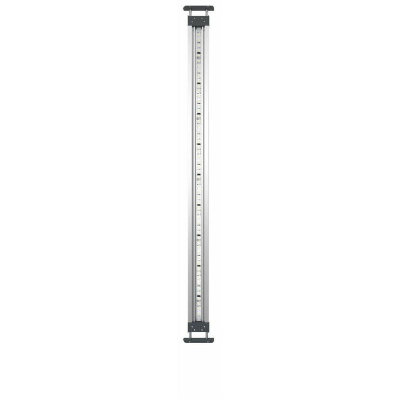 OASE HighLine Premium LED 100 - OASE 33895