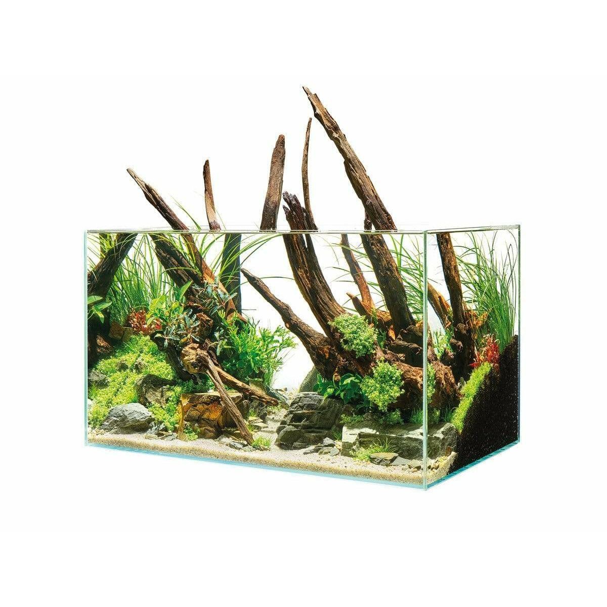 VORESTIC Pince Aquarium Longue Droites 27cm, Aquascaping, Terrarium Plante  Aquarium Vivante : : Hygiène et Santé