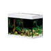 Oase Living Water Aquariums Aquarium StyleLine 175 blanc - 160L 4010052782225 78222
