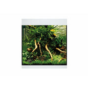 Oase Living Water Aquariums Aquarium StyleLine 85 blanc - 75L 4010052733340 73334