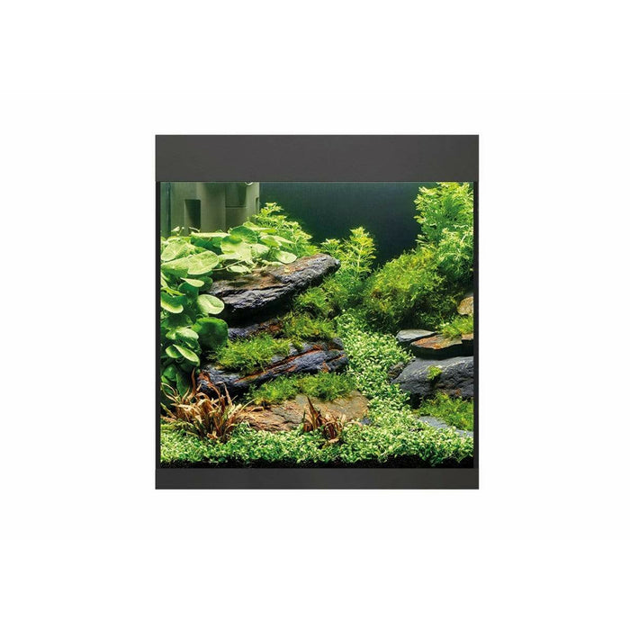 Oase Living Water Aquariums Aquarium StyleLine 85 noir - 75L 4010052733333 73333