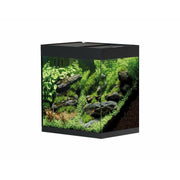 Oase Living Water Aquariums Aquarium StyleLine 85 noir - 75L 4010052733333 73333