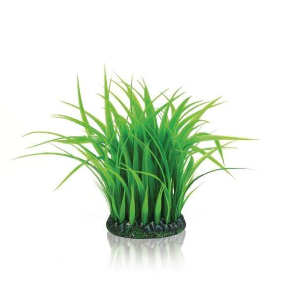 Oase Living Water biOrb Anneau d'herbe M verte 822728003077 46104