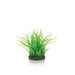 Oase Living Water biOrb Anneau d'herbe S verte 822728003060 46103