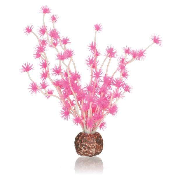 Oase Living Water biOrb Boule Bonsai rose 822728550670 55067