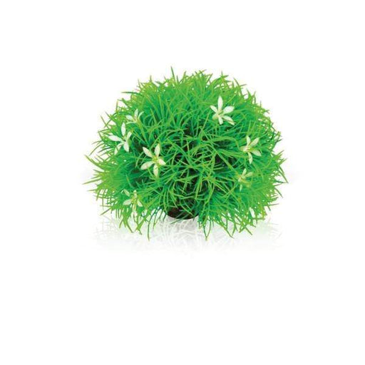 Oase Living Water biOrb Boule verte avec fleurs 822728007297 46086